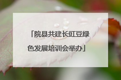 院县共建长豇豆绿色发展培训会举办