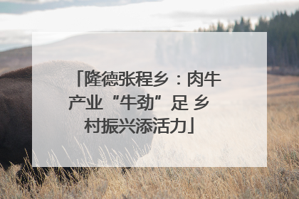 隆德张程乡：肉牛产业“牛劲”足 乡村振兴添活力
