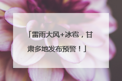 雷雨大风+冰雹，甘肃多地发布预警！