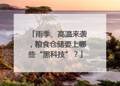 雨季、高温来袭，粮食仓储要上哪些“黑科技”？