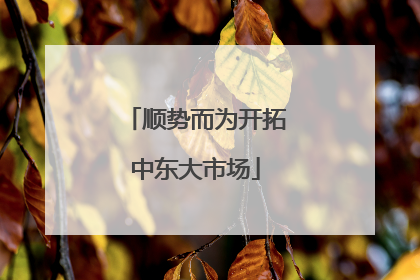 顺势而为开拓中东大市场