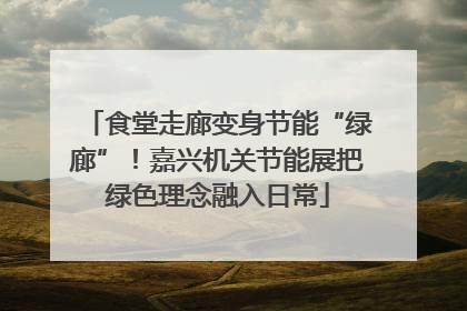 食堂走廊变身节能“绿廊”！嘉兴机关节能展把绿色理念融入日常