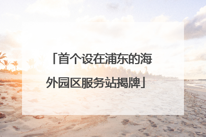 首个设在浦东的海外园区服务站揭牌