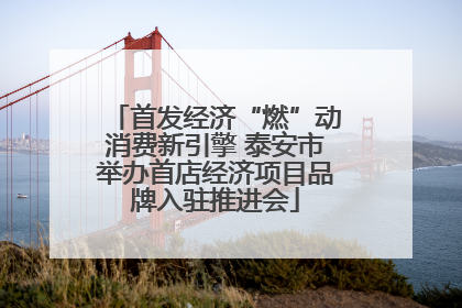 首发经济“燃”动消费新引擎 泰安市举办首店经济项目品牌入驻推进会