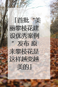 首批“美丽攀枝花建设优秀案例”发布 原来攀枝花是这样越变越美的