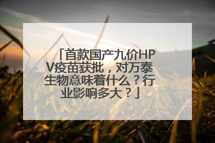 首款国产九价HPV疫苗获批，对万泰生物意味着什么？行业影响多大？