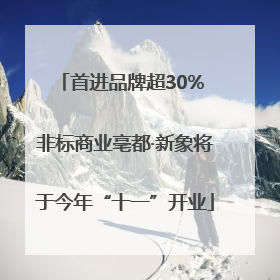 首进品牌超30% 非标商业亳都·新象将于今年“十一”开业