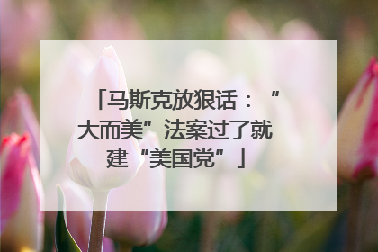 马斯克放狠话：“大而美”法案过了就建“美国党”