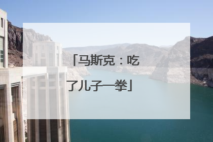 马斯克：吃了儿子一拳