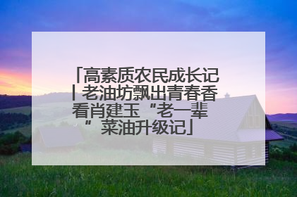 高素质农民成长记丨老油坊飘出青春香 看肖建玉“老一辈”菜油升级记