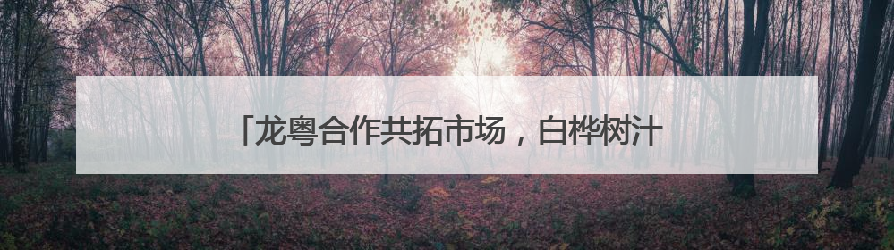 龙粤合作共拓市场，白桦树汁获黑龙江首张“湾区认证”
