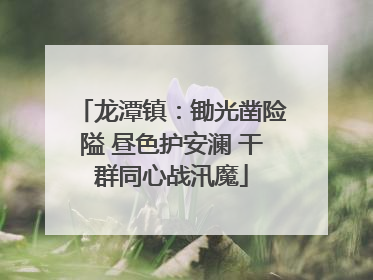 龙潭镇：锄光凿险隘 昼色护安澜 干群同心战汛魔