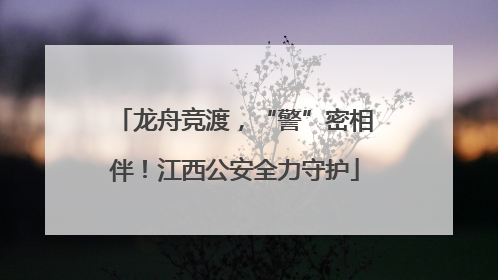 龙舟竞渡，“警”密相伴！江西公安全力守护