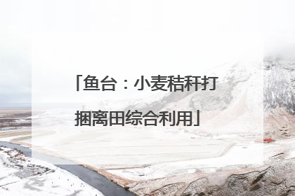鱼台：小麦秸秆打捆离田综合利用
