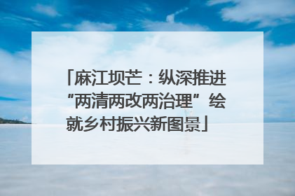 麻江坝芒：纵深推进“两清两改两治理”绘就乡村振兴新图景