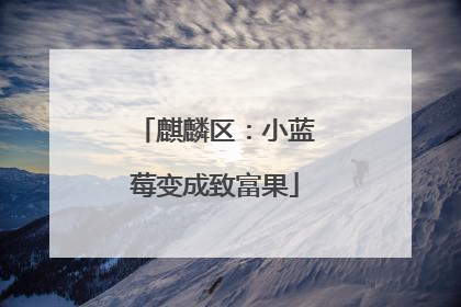 麒麟区：小蓝莓变成致富果