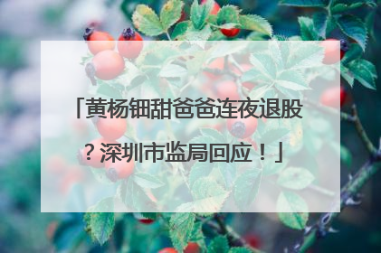 黄杨钿甜爸爸连夜退股？深圳市监局回应！
