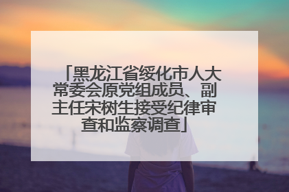 黑龙江省绥化市人大常委会原党组成员、副主任宋树生接受纪律审查和监察调查