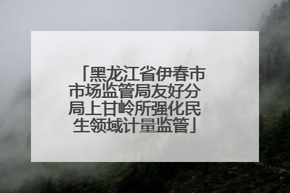 黑龙江省伊春市市场监管局友好分局上甘岭所强化民生领域计量监管