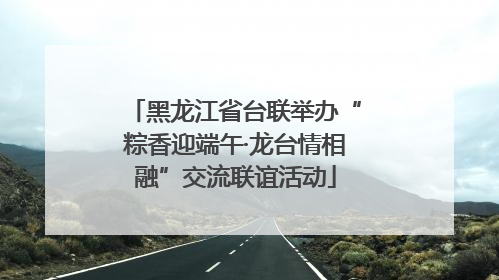 黑龙江省台联举办“粽香迎端午·龙台情相融”交流联谊活动