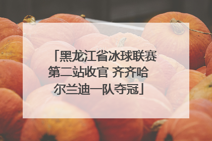 黑龙江省冰球联赛第二站收官 齐齐哈尔兰迪一队夺冠