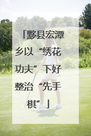 黟县宏潭乡以“绣花功夫”下好整治“先手棋”