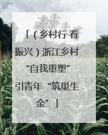 （乡村行·看振兴）浙江乡村“自我重塑” 引青年“筑巢生金”