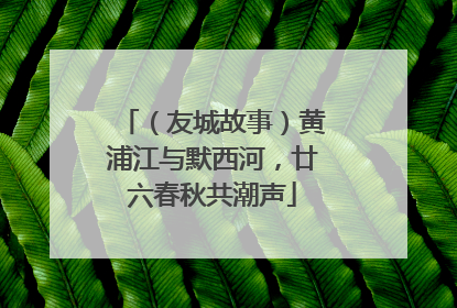 （友城故事）黄浦江与默西河，廿六春秋共潮声