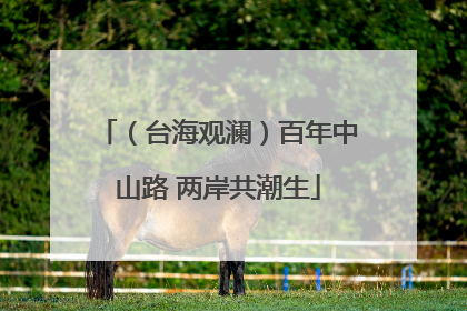 （台海观澜）百年中山路 两岸共潮生