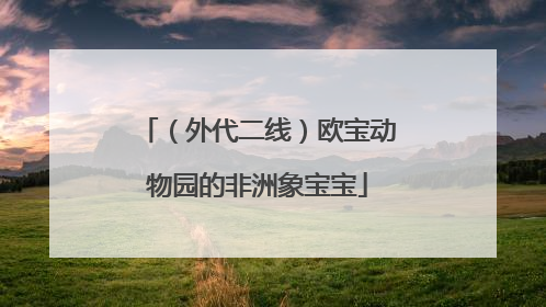 （外代二线）欧宝动物园的非洲象宝宝