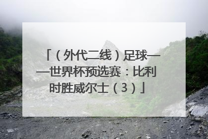 （外代二线）足球——世界杯预选赛：比利时胜威尔士（3）