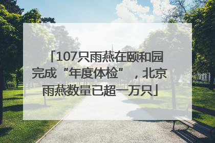 107只雨燕在颐和园完成“年度体检”，北京雨燕数量已超一万只