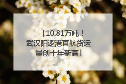 10.81万吨！武汉阳逻港直航货运量创十年新高