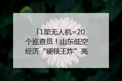1架无人机=20个巡查员！山东低空经济“硬核王炸”亮相青岛，下一个万亿赛道藏在这里