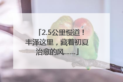 2.5公里慢道！丰泽这里，藏着初夏治愈的风……