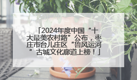 2024年度中国“十大最美农村路”公布，枣庄市台儿庄区“鲁风运河”古城文化廊道上榜！