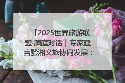 2025世界旅游联盟·洞庭对话｜专家建言黔湘文旅协同发展：聚焦产品稀缺性 深化区域经验共享