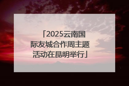 2025云南国际友城合作周主题活动在昆明举行