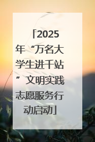 2025年“万名大学生进千站”文明实践志愿服务行动启动