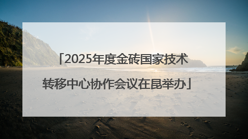 2025年度金砖国家技术转移中心协作会议在昆举办