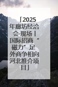 2025年廊坊经洽会·现场丨国际招商“磁力”足 外商争相向河北推介项目