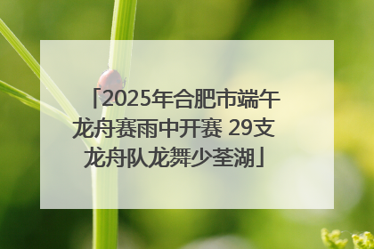 2025年合肥市端午龙舟赛雨中开赛 29支龙舟队龙舞少荃湖