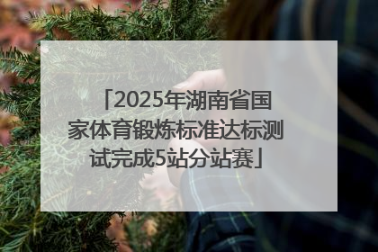 2025年湖南省国家体育锻炼标准达标测试完成5站分站赛