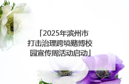 2025年滨州市打击治理跨境赌博校园宣传周活动启动