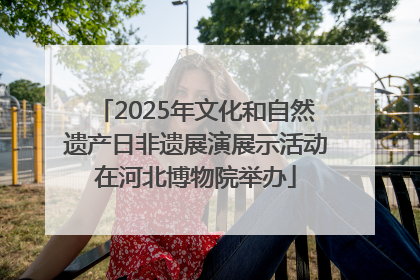 2025年文化和自然遗产日非遗展演展示活动在河北博物院举办