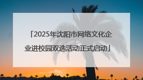 2025年沈阳市网络文化企业进校园双选活动正式启动