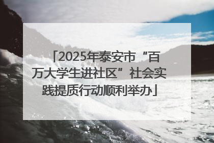 2025年泰安市“百万大学生进社区”社会实践提质行动顺利举办