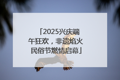 2025兴庆端午狂欢，非遗焰火民俗节燃情启幕
