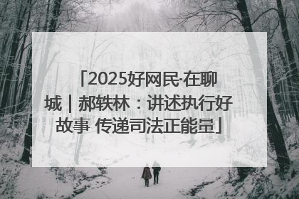 2025好网民·在聊城｜郝轶林：讲述执行好故事 传递司法正能量