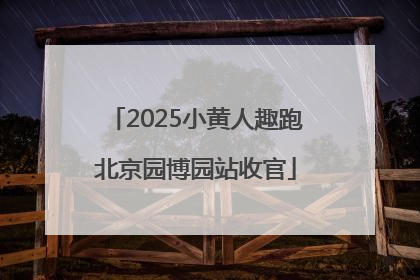 2025小黄人趣跑北京园博园站收官